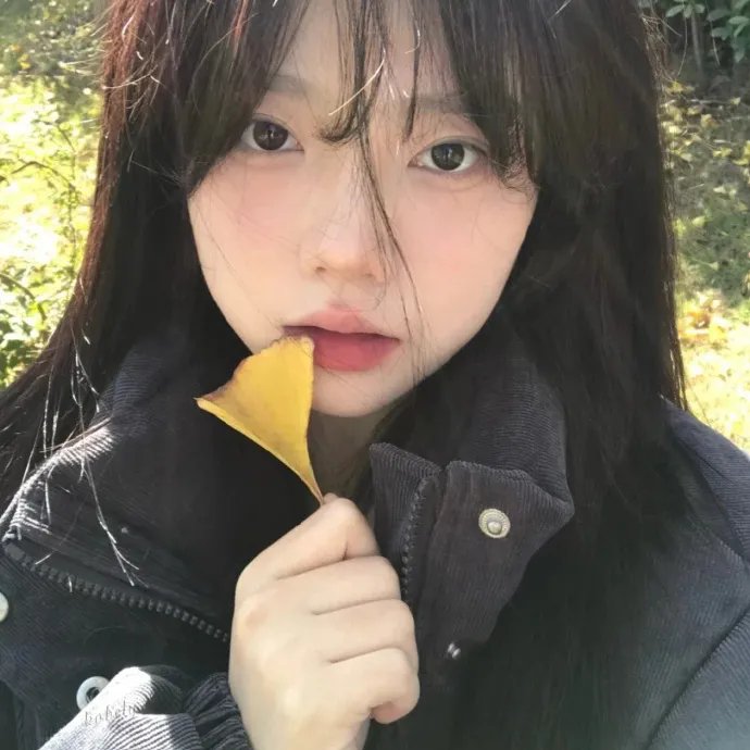 警之光第二季
